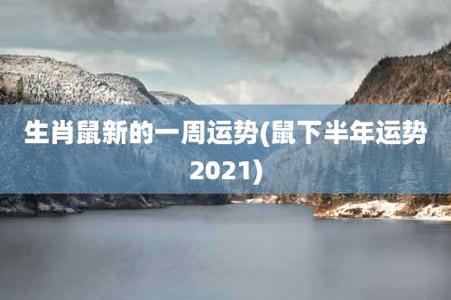 生肖鼠新的一周运势(鼠下半年运势2021)