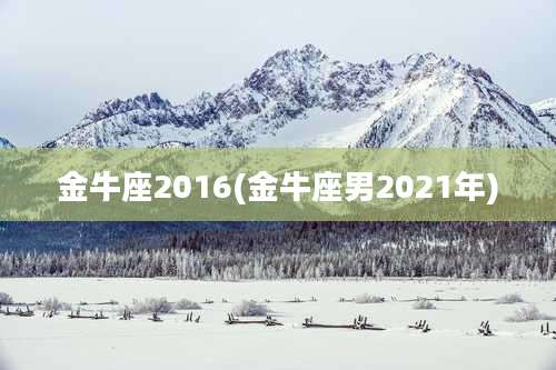 金牛座2016(金牛座男2021年)