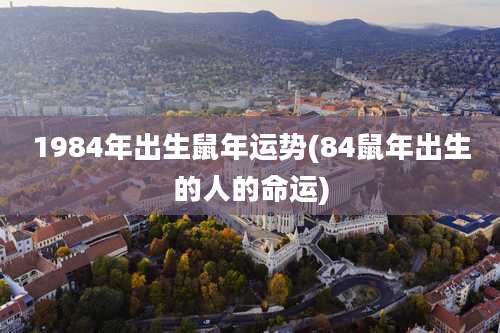1984年出生鼠年运势(84鼠年出生的人的命运)