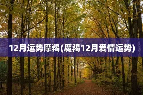 12月运势摩羯(魔羯12月爱情运势)