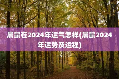 属鼠在2024年运气怎样(属鼠2024年运势及运程)