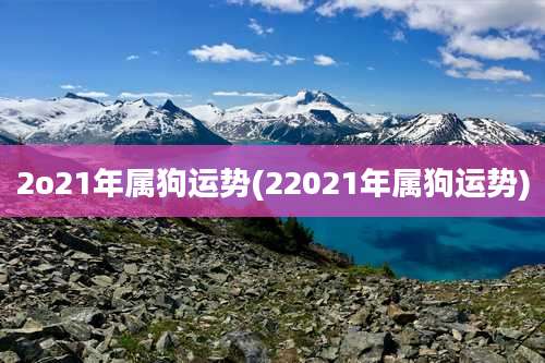 2o21年属狗运势(22021年属狗运势)