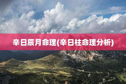 辛日辰月命理(辛日柱命理分析)