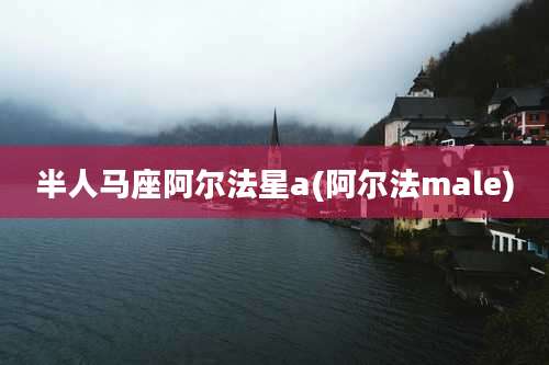 半人马座阿尔法星a(阿尔法male)