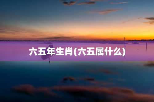 六五年生肖(六五属什么)