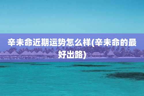 辛未命近期运势怎么样(辛未命的最好出路)