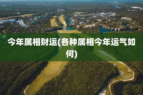 今年属相财运(各种属相今年运气如何)