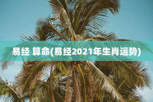 易经 算命(易经2021年生肖运势)