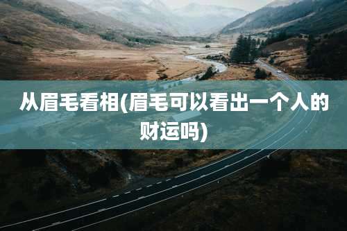 从眉毛看相(眉毛可以看出一个人的财运吗)