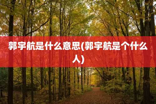 郭宇航是什么意思(郭宇航是个什么人)