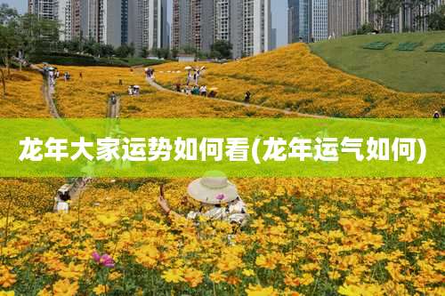 龙年大家运势如何看(龙年运气如何)