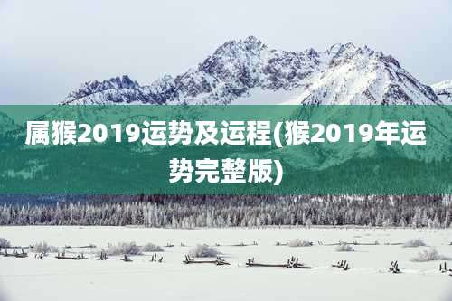 属猴2019运势及运程(猴2019年运势完整版)