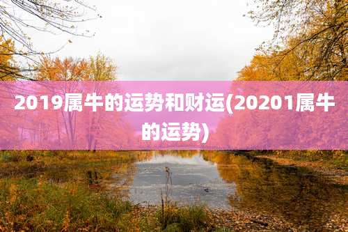 2019属牛的运势和财运(20201属牛的运势)