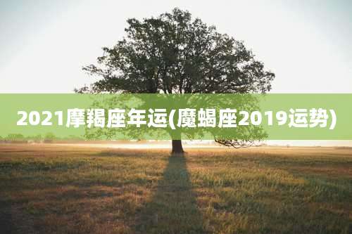 2021摩羯座年运(魔蝎座2019运势)