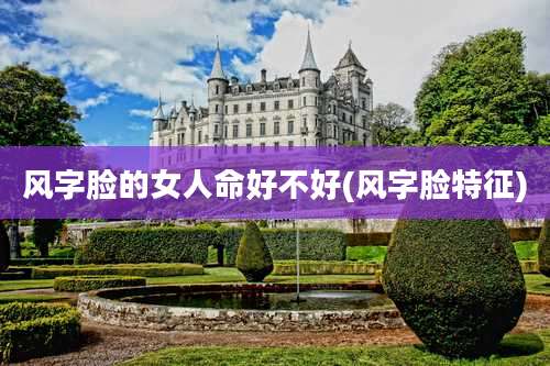 风字脸的女人命好不好(风字脸特征)