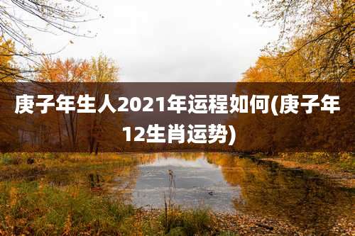 庚子年生人2021年运程如何(庚子年12生肖运势)