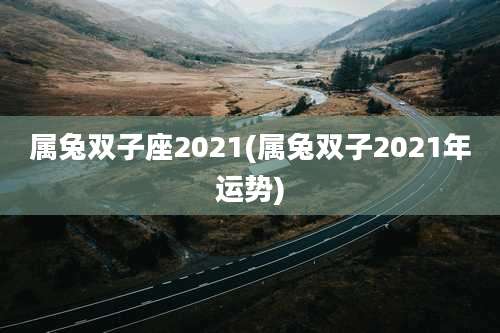 属兔双子座2021(属兔双子2021年运势)