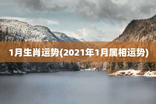 1月生肖运势(2021年1月属相运势)
