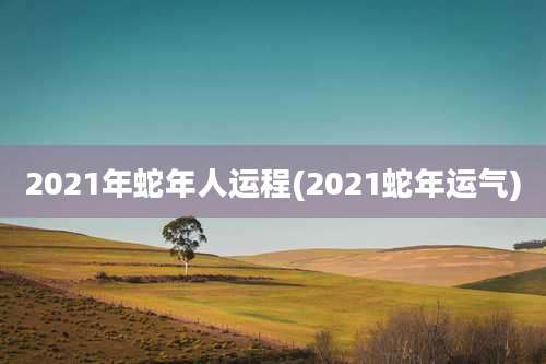 2021年蛇年人运程(2021蛇年运气)