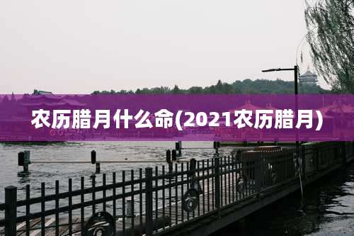 农历腊月什么命(2021农历腊月)