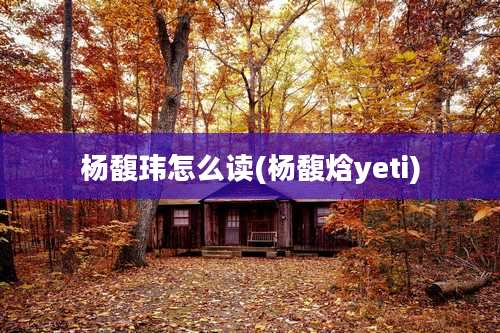 杨馥玮怎么读(杨馥焓yeti)
