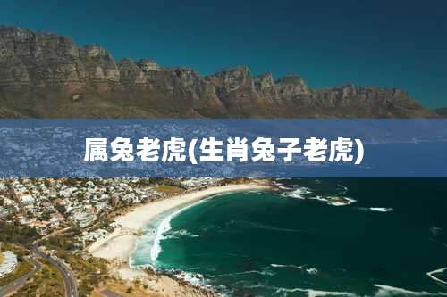 属兔老虎(生肖兔子老虎)