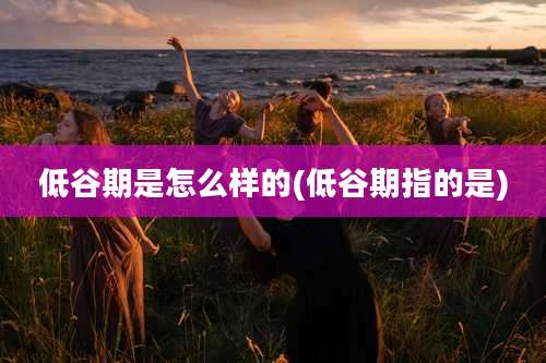 低谷期是怎么样的(低谷期指的是)