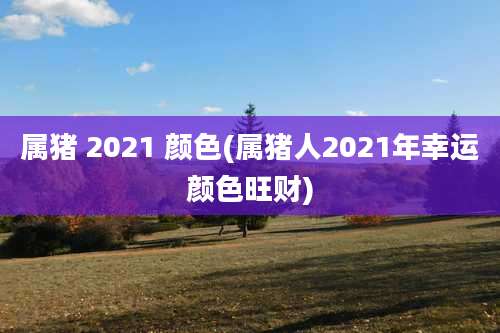 属猪 2021 颜色(属猪人2021年幸运颜色旺财)