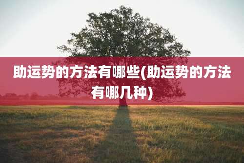 助运势的方法有哪些(助运势的方法有哪几种)