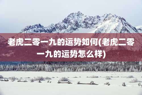 老虎二零一九的运势如何(老虎二零一九的运势怎么样)