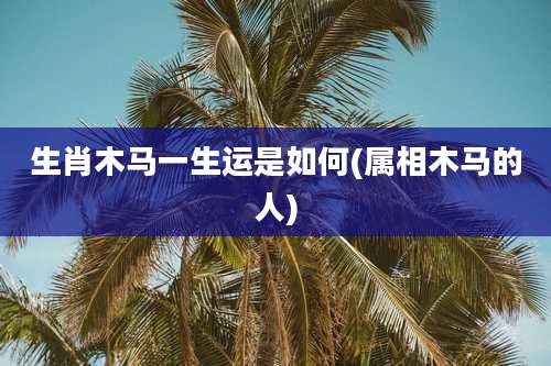 生肖木马一生运是如何(属相木马的人)