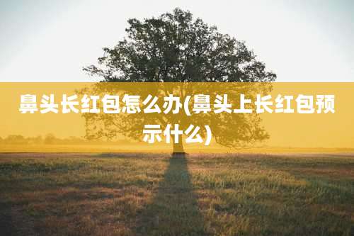 鼻头长红包怎么办(鼻头上长红包预示什么)