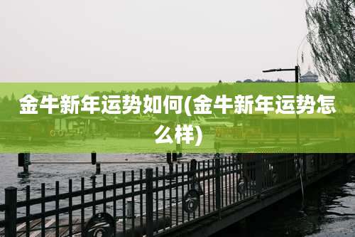 金牛新年运势如何(金牛新年运势怎么样)