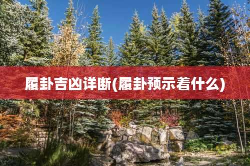 履卦吉凶详断(履卦预示着什么)