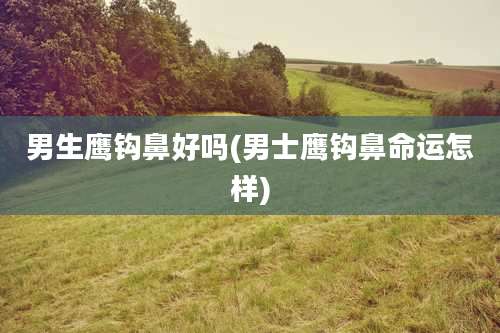 男生鹰钩鼻好吗(男士鹰钩鼻命运怎样)