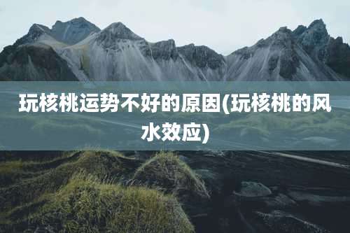 玩核桃运势不好的原因(玩核桃的风水效应)