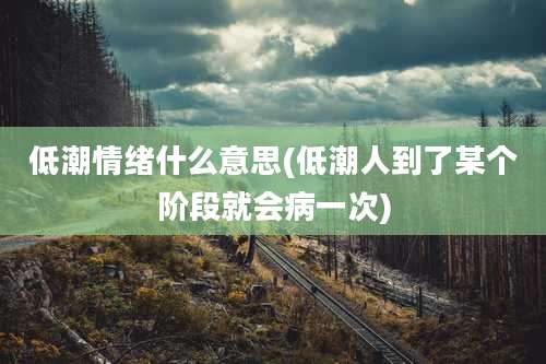 低潮情绪什么意思(低潮人到了某个阶段就会病一次)