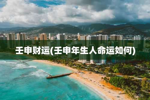 壬申财运(壬申年生人命运如何)