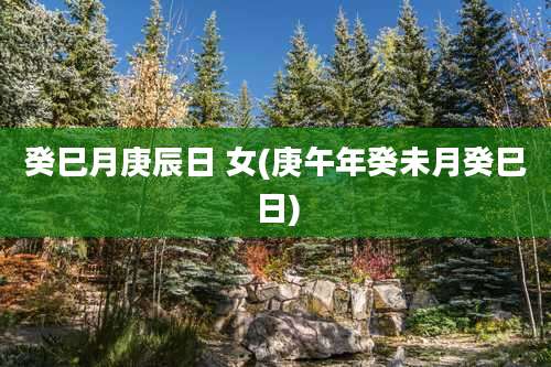 癸巳月庚辰日 女(庚午年癸未月癸巳日)