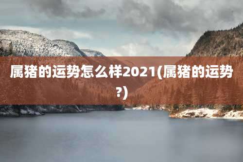 属猪的运势怎么样2021(属猪的运势?)