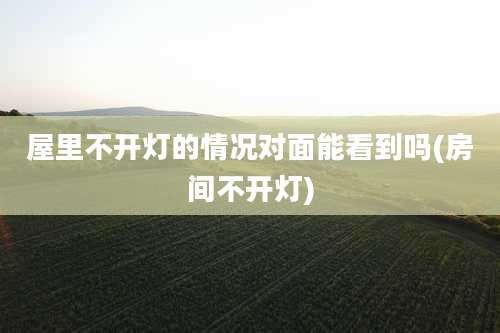 屋里不开灯的情况对面能看到吗(房间不开灯)