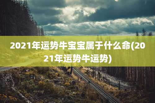2021年运势牛宝宝属于什么命(2021年运势牛运势)