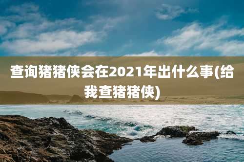 查询猪猪侠会在2021年出什么事(给我查猪猪侠)