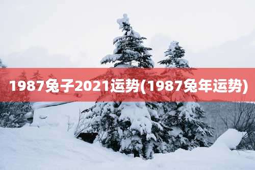1987兔子2021运势(1987兔年运势)