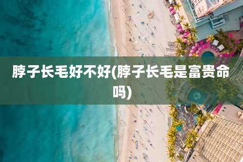 脖子长毛好不好(脖子长毛是富贵命吗)