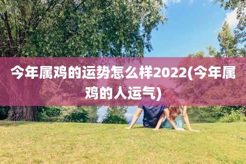 今年属鸡的运势怎么样2022(今年属鸡的人运气)