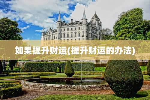如果提升财运(提升财运的办法)