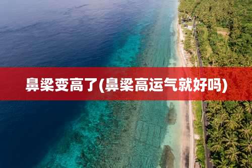 鼻梁变高了(鼻梁高运气就好吗)