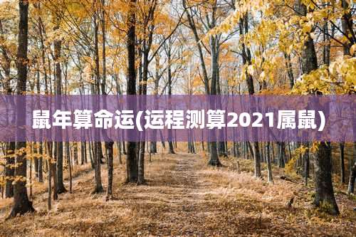 鼠年算命运(运程测算2021属鼠)