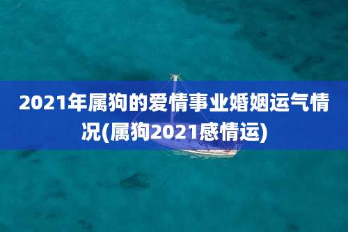 2021年属狗的爱情事业婚姻运气情况(属狗2021感情运)